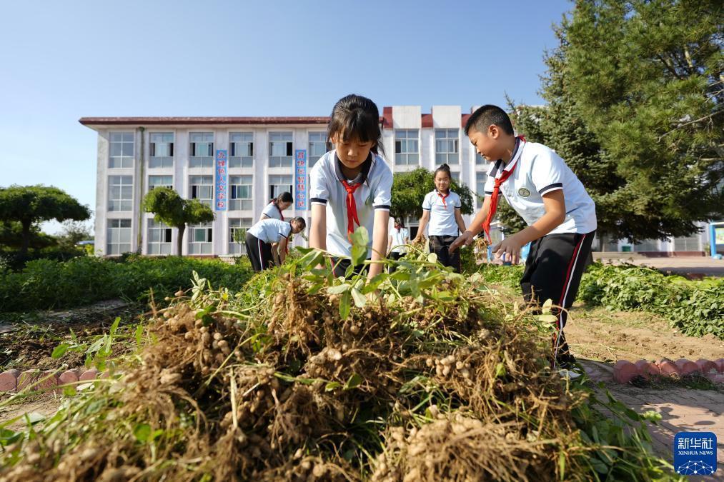 辉煌国际网址